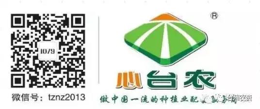 臺州農(nóng)資攜手意大利啟騰與浙柑所達成戰(zhàn)略合作，開啟柑橘可持續(xù)栽培研究新篇章！